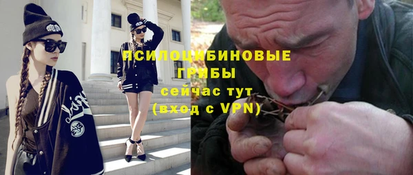 стаф Алзамай