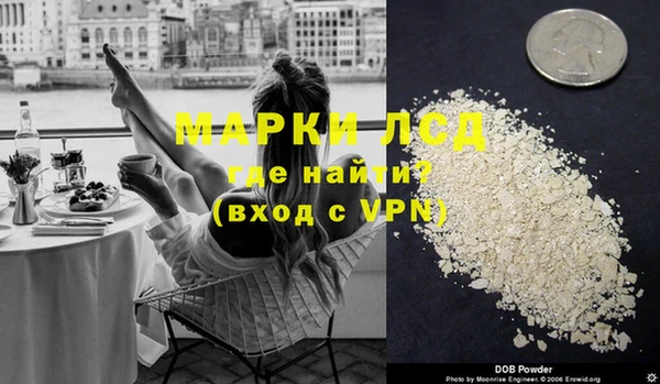 стаф Алзамай