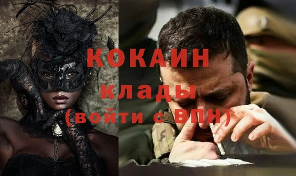 стаф Алзамай