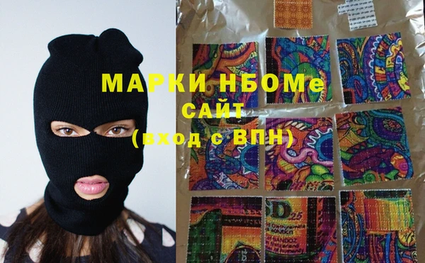 стаф Алзамай