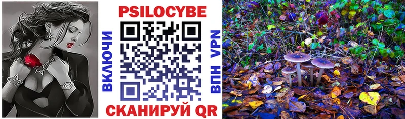сколько стоит  Котельники  Псилоцибиновые грибы ЛСД 